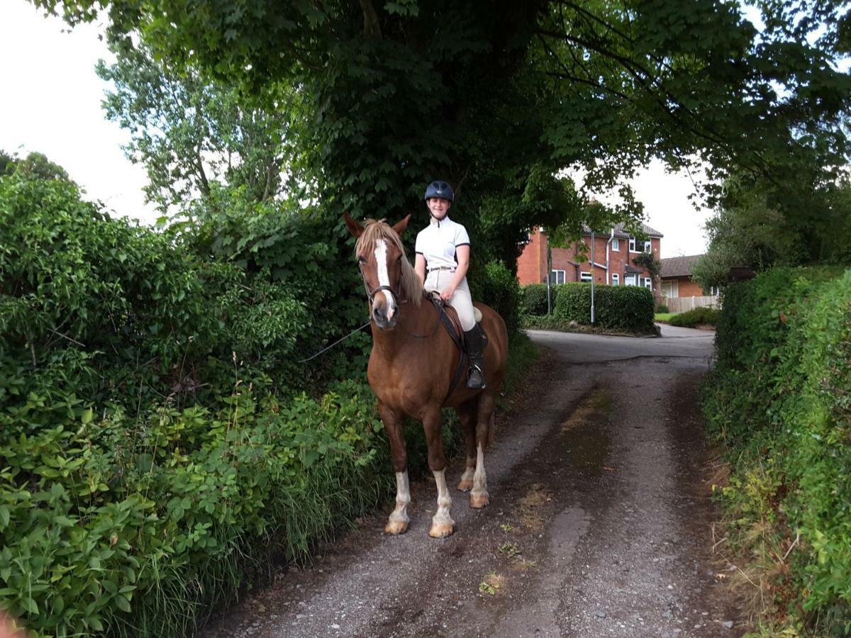 Pine Tree Lodge, Bridgnorth Luaran gambar